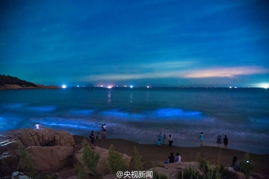仅靠一瓶水敛财四亿，普通的公交车司机，策划了怎样的惊天骗局？游戏画面