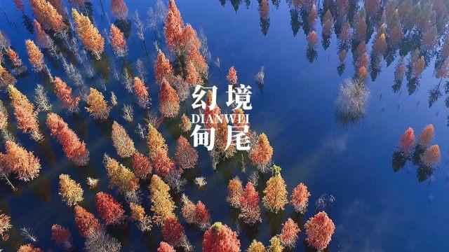 真三国无双7