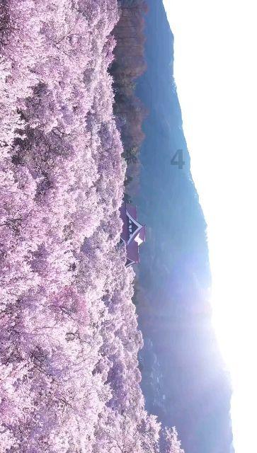 《梦幻西游》萌宝尘世游活动攻略