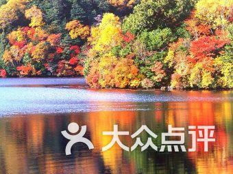 逃离巫婆房屋