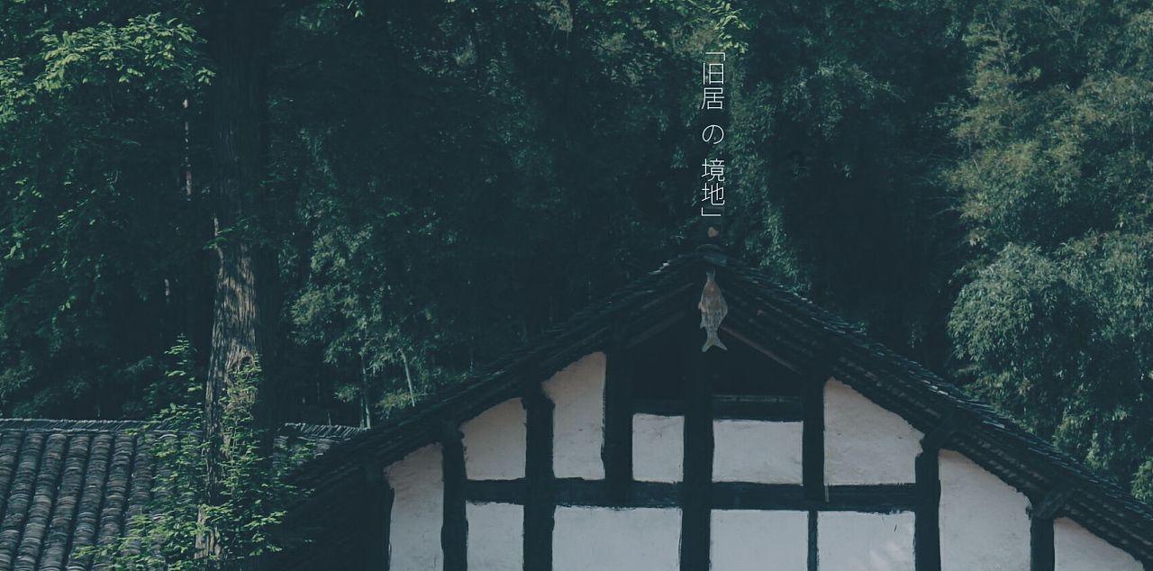 88影视