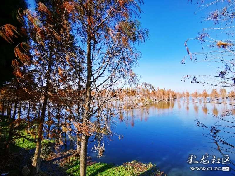 是聪明好还是糊涂好