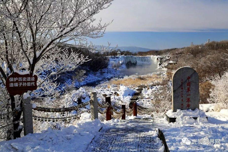 动物帮帮忙保卫家园