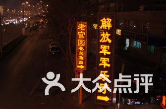 逃离橡子树种植地