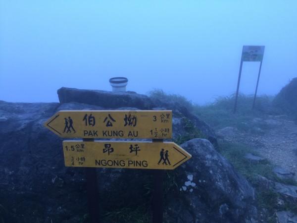 极品飞车12