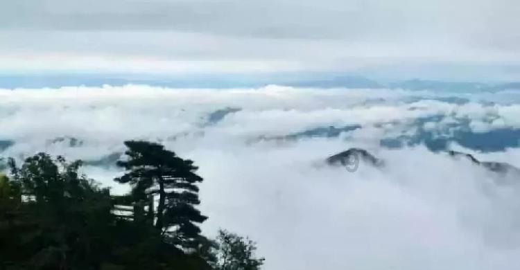 泡泡趴