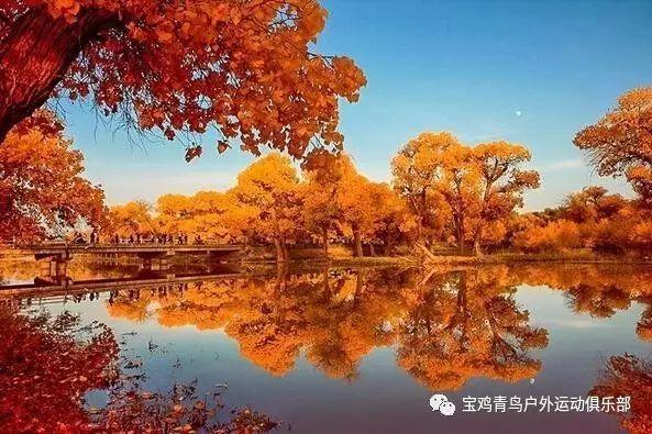 与灵魂共舞的歌的含义游戏画面