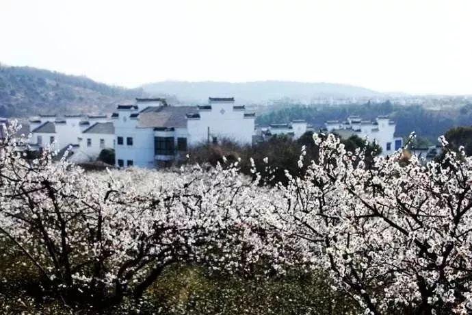 逃离神秘老林