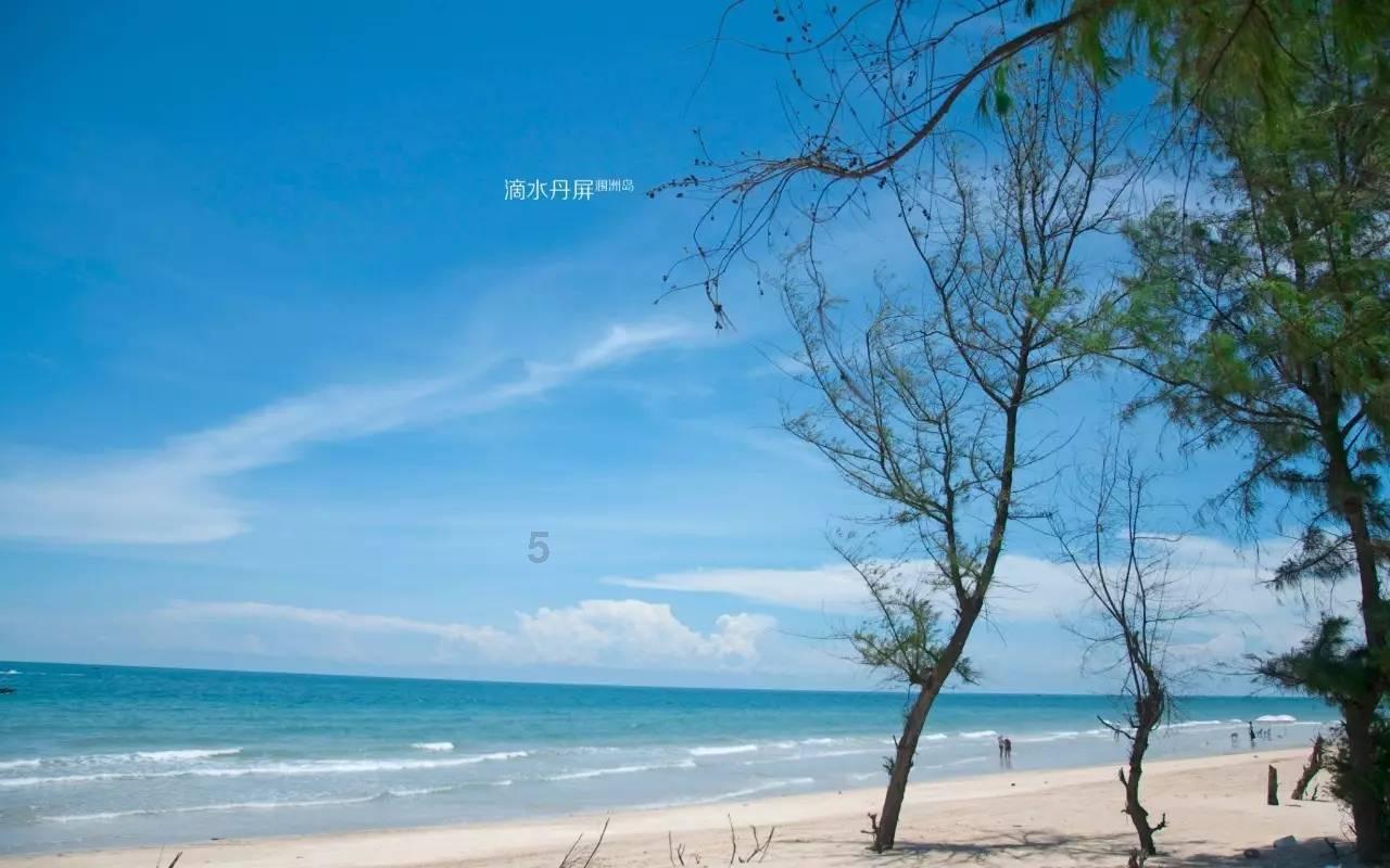 土耳其外长与哈马斯领导人会晤:讨论加沙停火等问题