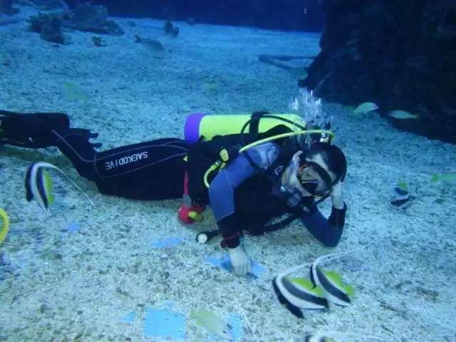 逃离霍比特人洞屋