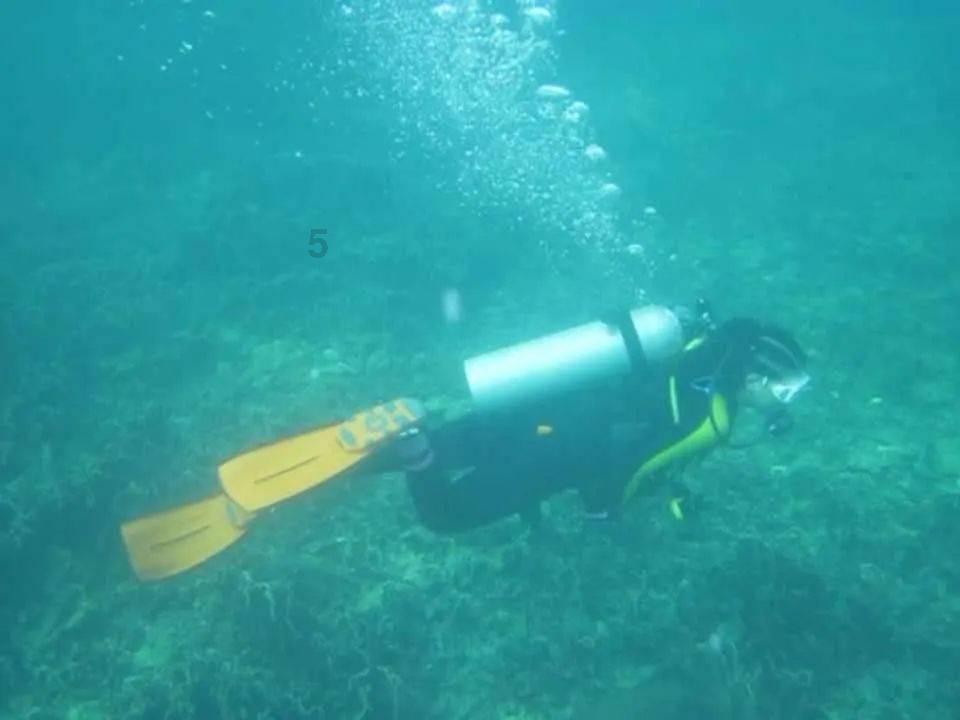 篮球全明星赛2