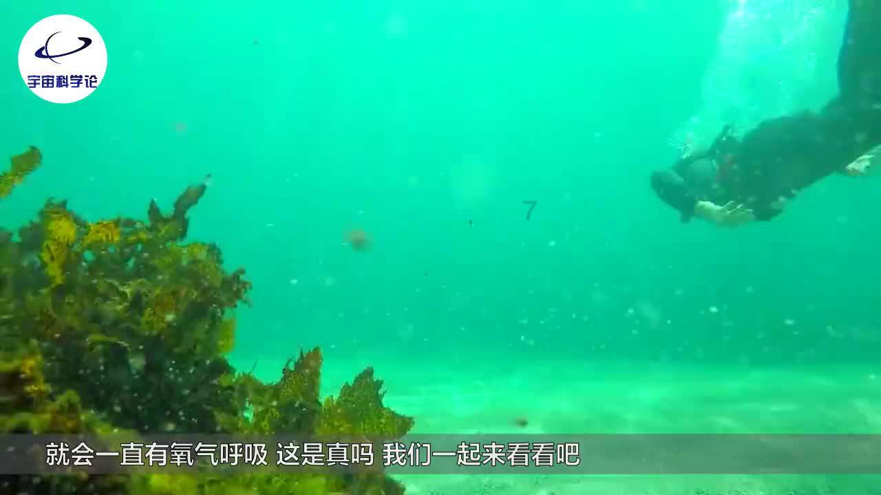 陌生二字有几画游戏画面