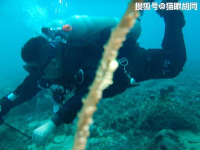 小孩子总是感到困倦、无精打采,应该怎么办好?