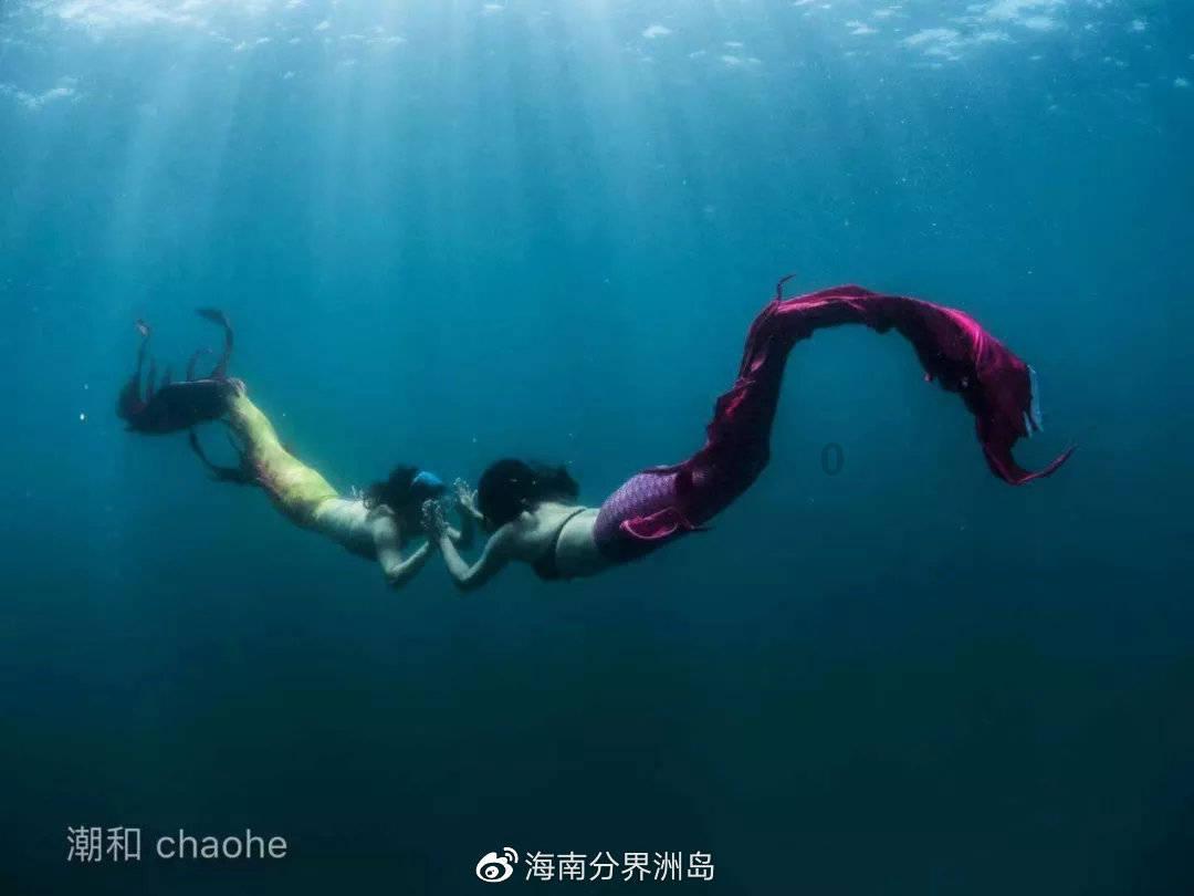 率土之滨