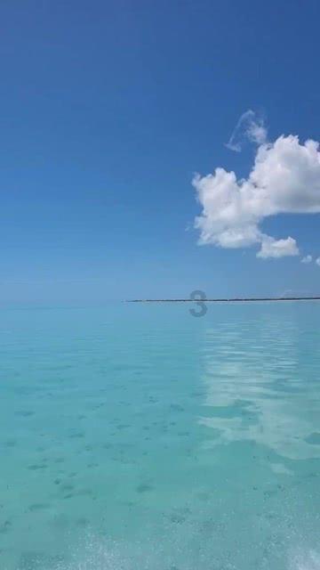 太阁立志传5