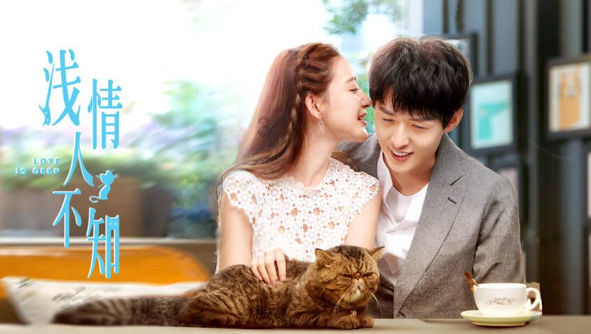 拯救可爱猫王