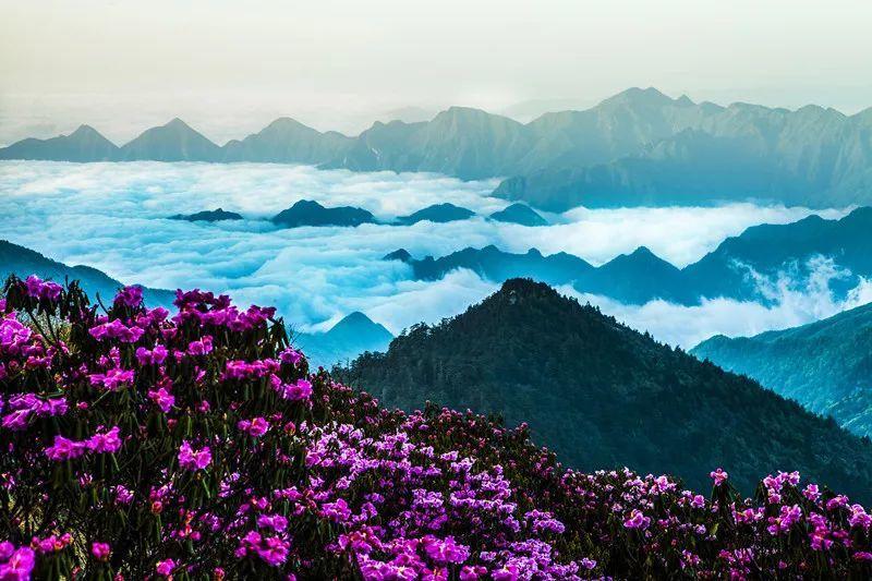 杰茜的欢乐时光