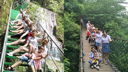 焦裕禄亲手种植的泡桐树