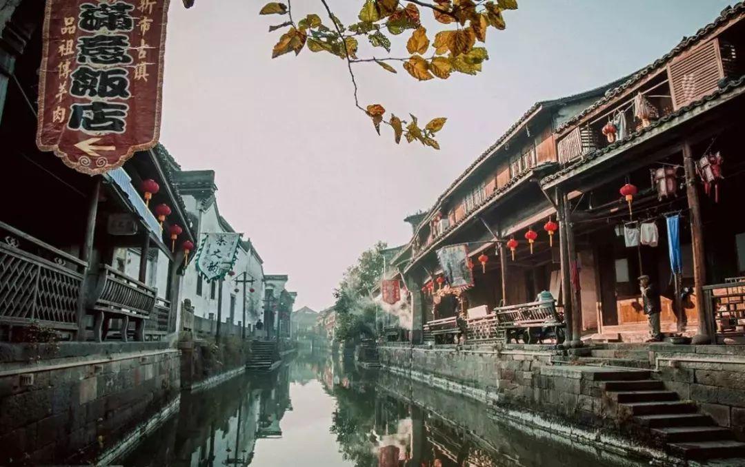 细胞分裂6