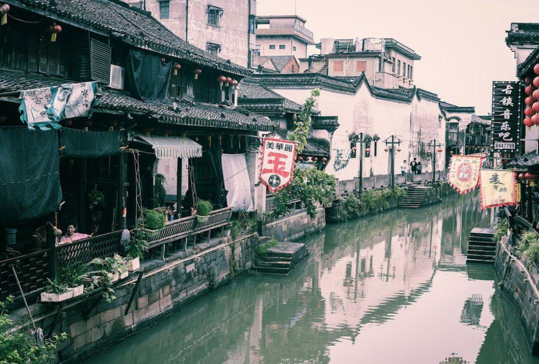 救援小肥兔