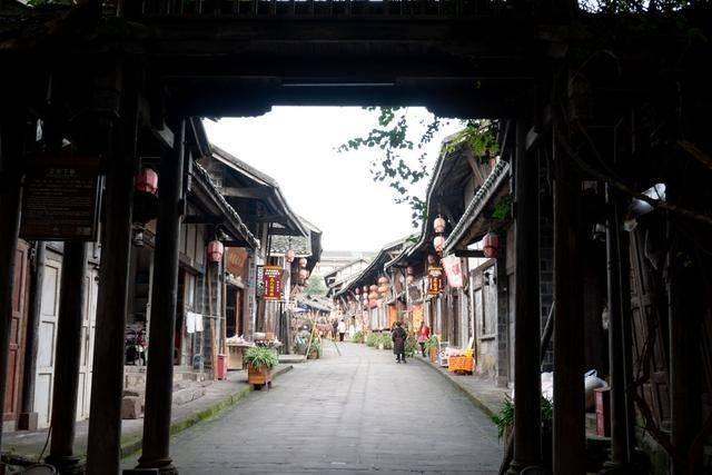 爱吃叶子的毛毛虫