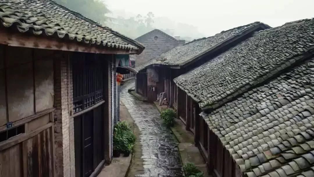 生化危机：浣熊市行动