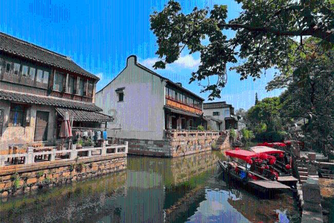 僵尸过人行道