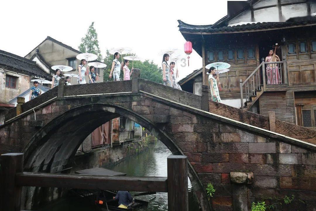 碧冬茄种子怎么采集？游戏画面
