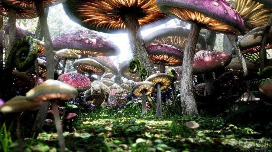 《永恒岛手游》全网都在做的游戏搬砖，不为人知的搬砖技巧，财富自由不是梦！
